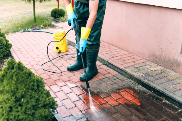 Best Sidewalk and Walkway Cleaning  in Nyon Lake, CA